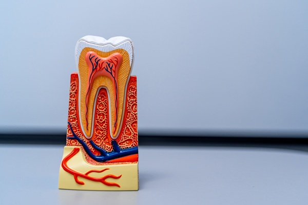 Debunking Root Canal Myths: How This Procedure Protects Oral Health